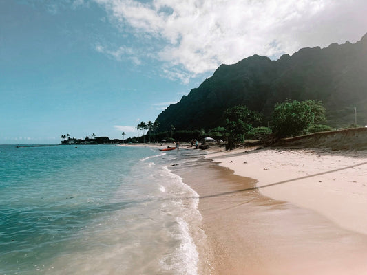 A Love Letter to the Ocean