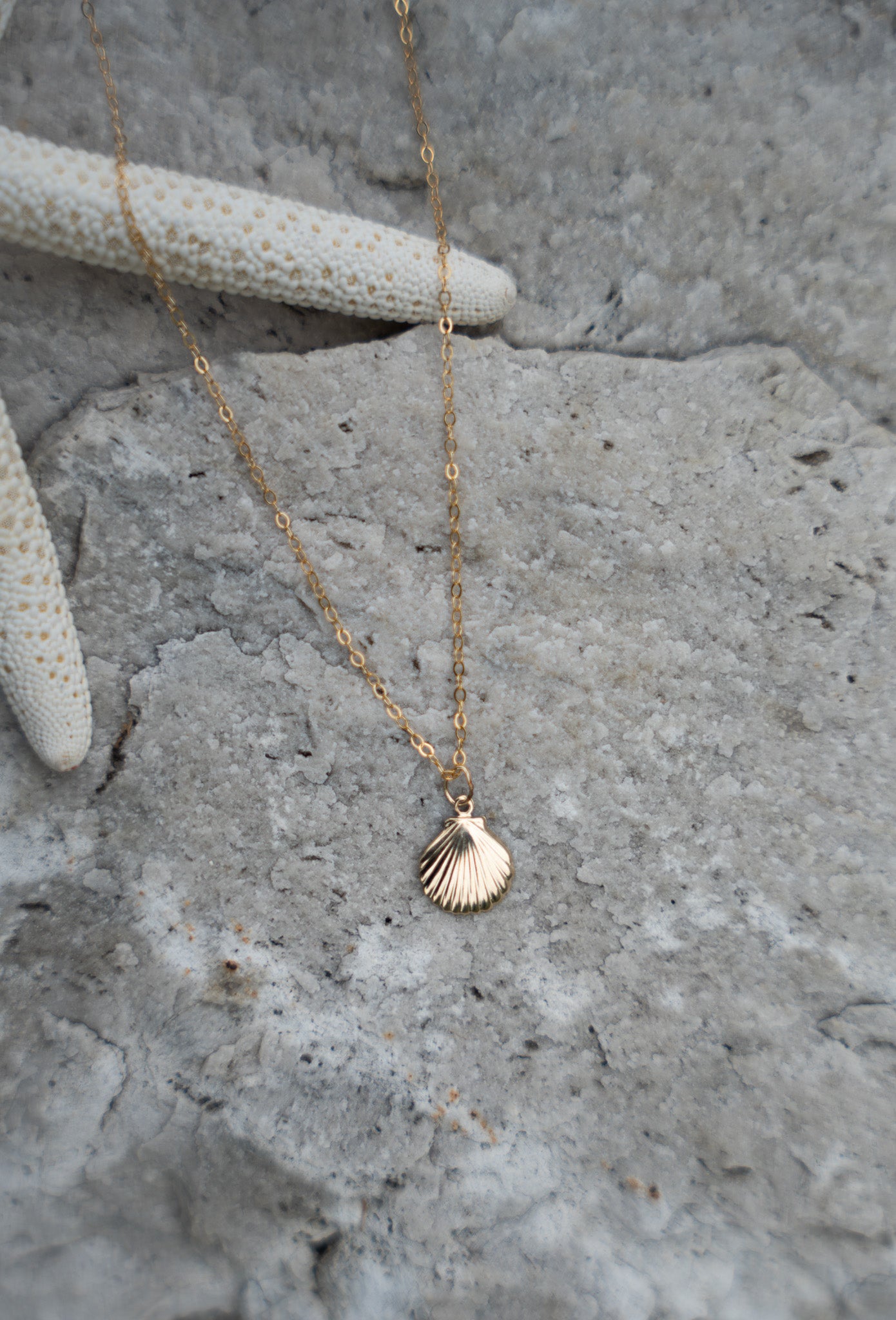 seashell necklace