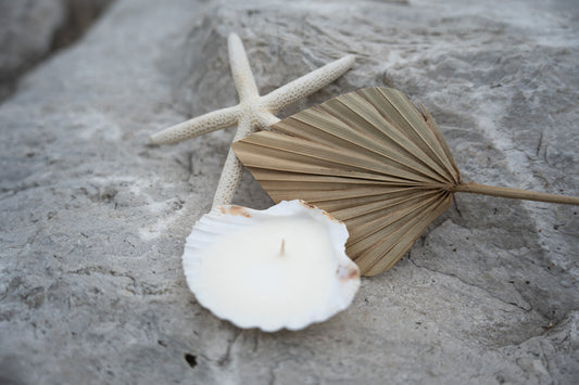 seashell tealight