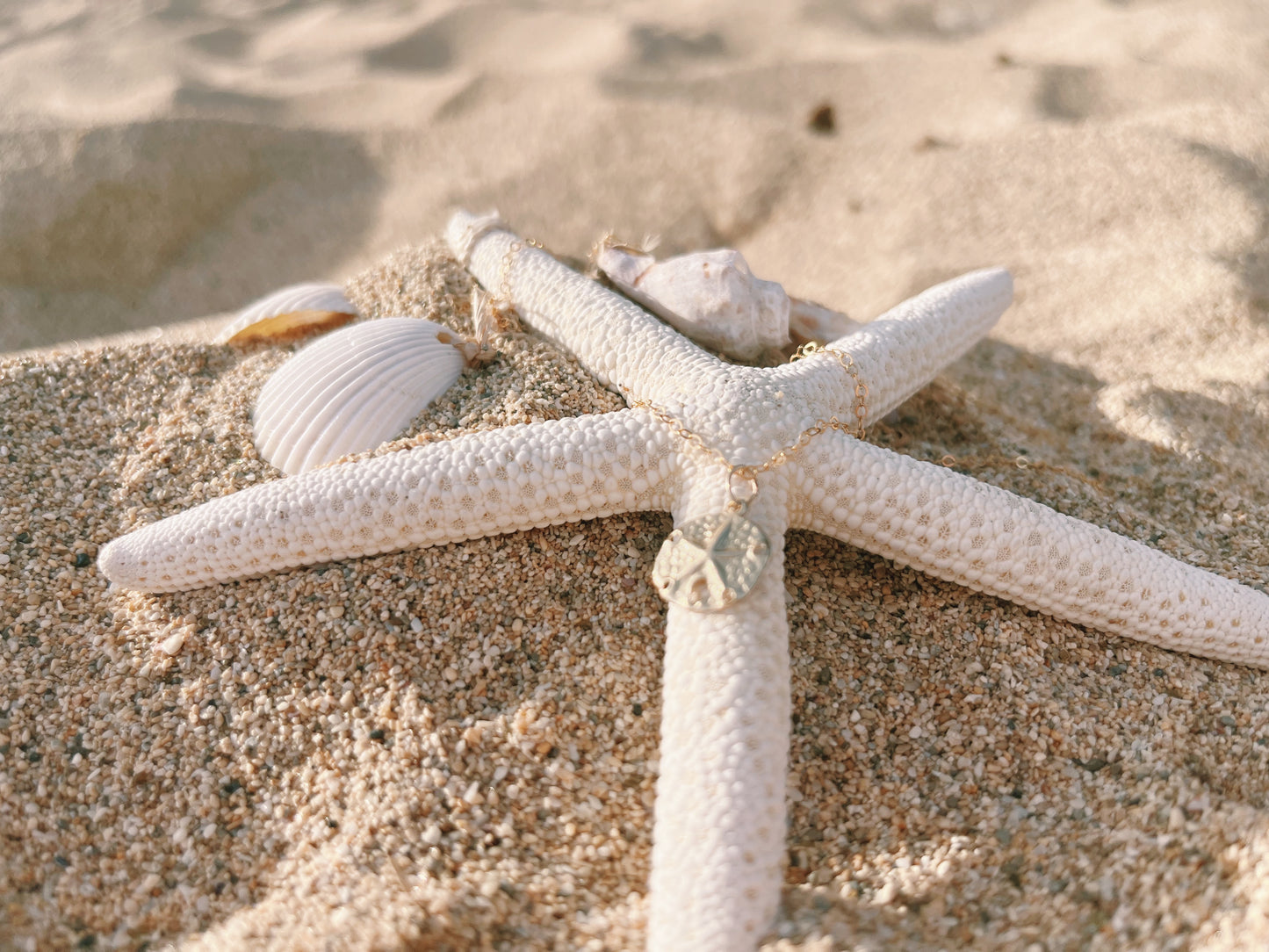 sand dollar necklace
