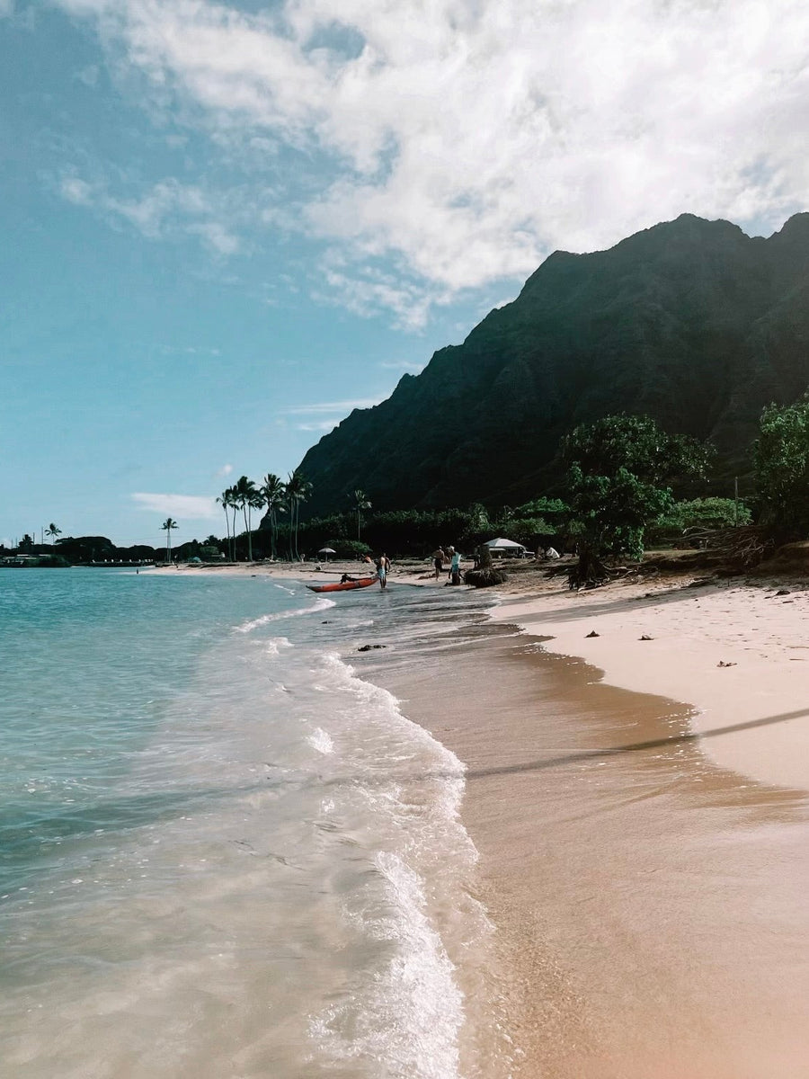 A Love Letter to the Ocean