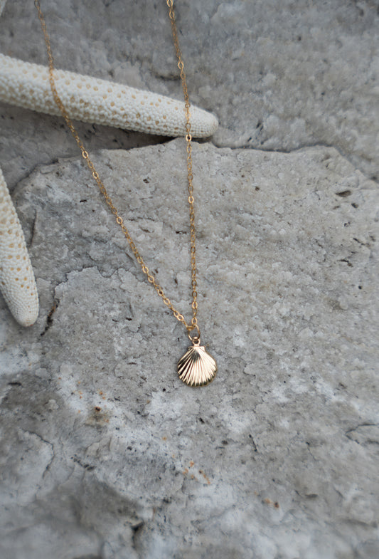 SEASHELL NECKLACE