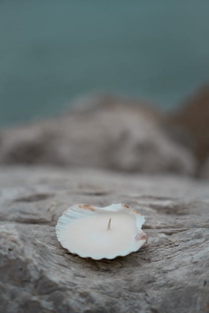 Seashell Tealight