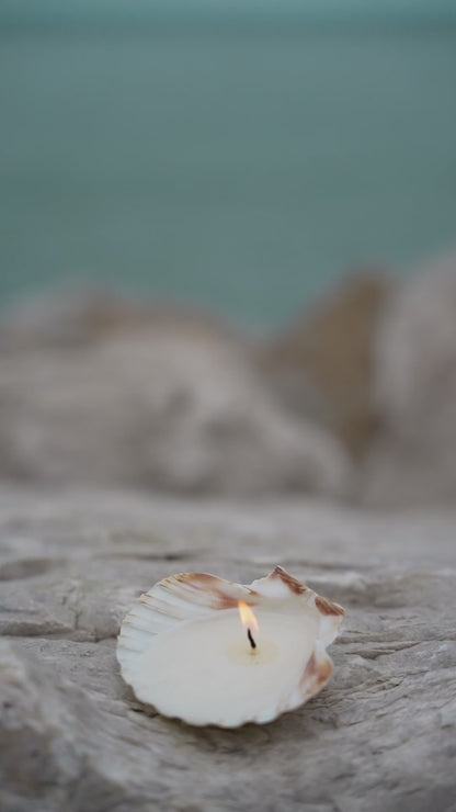 Seashell Tealight