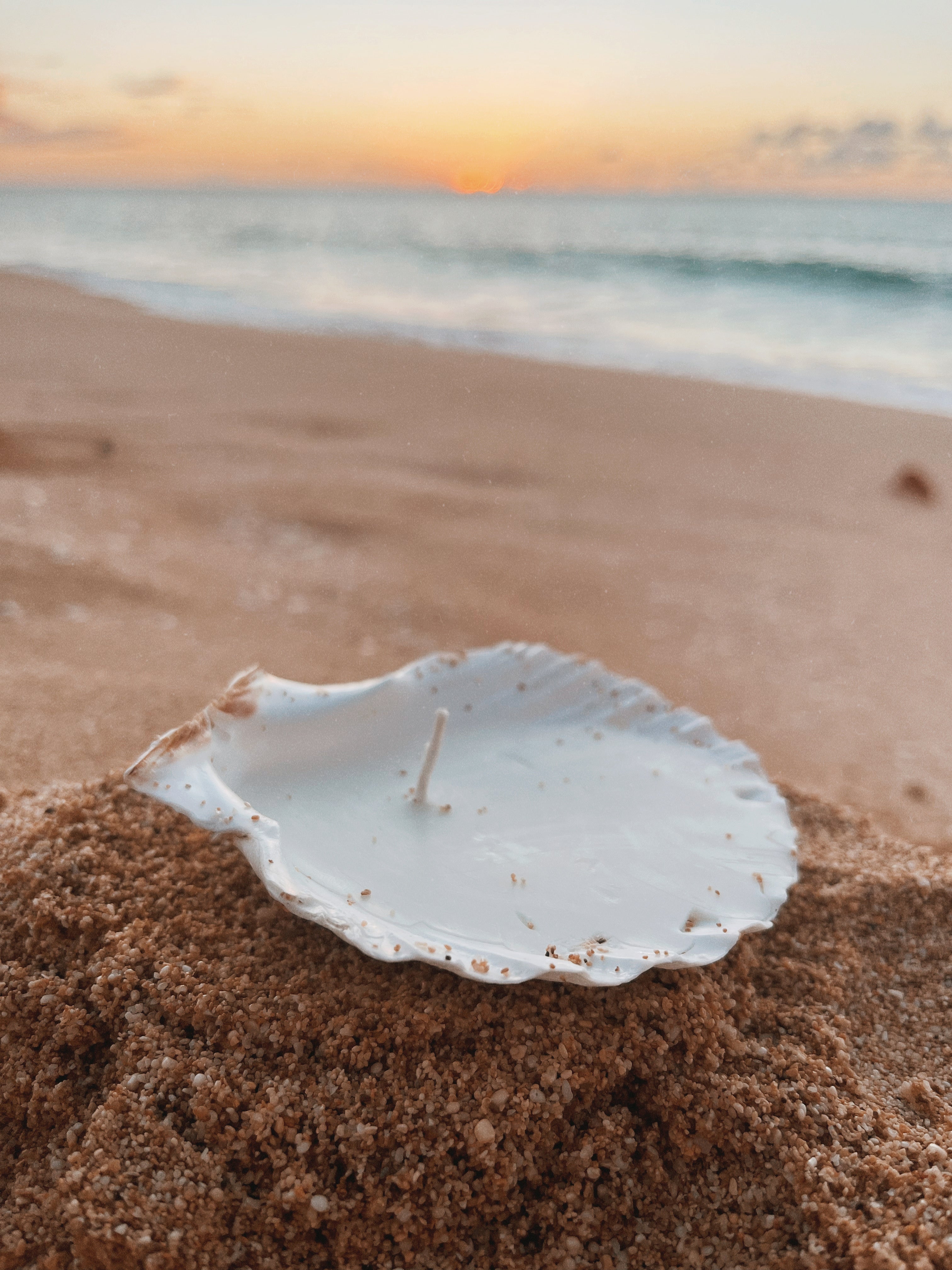 seashell tealight